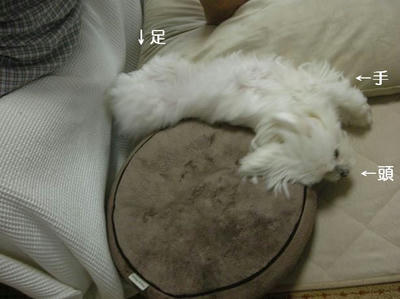 DSCN9358.JPG