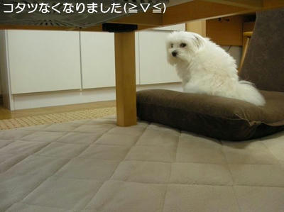 DSCN9368.JPG