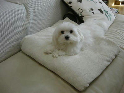 DSCN9363.JPG
