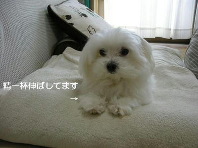 DSCN9364.JPG