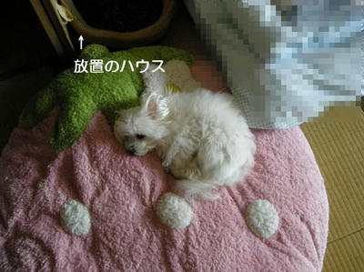 DSCN9356.JPG