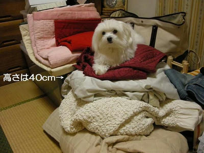 DSCN9361.JPG