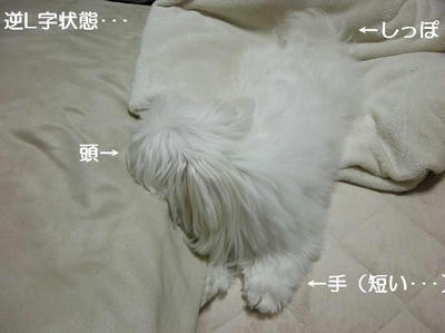 DSCN9376.JPG
