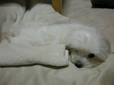 DSCN9380.JPG