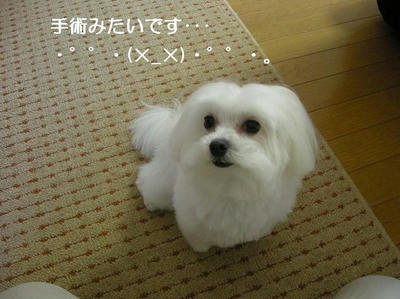 DSCN9835.JPG