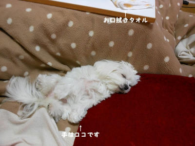 DSCN1130.jpg