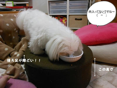 DSCN1144.jpg