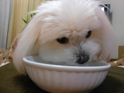 DSCN1148.jpg