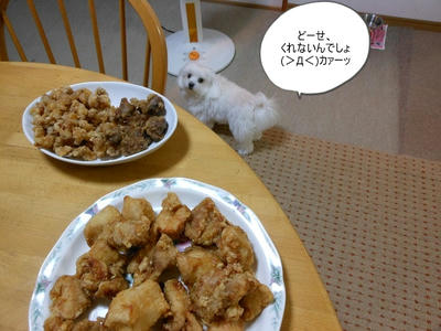 DSCN1177.jpg