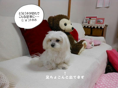 DSCN1198.jpg