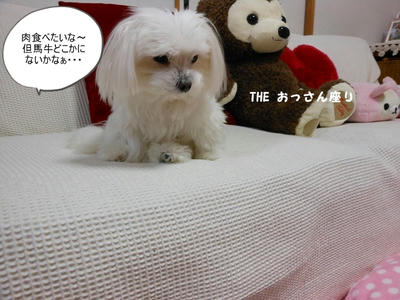 DSCN1202.jpg