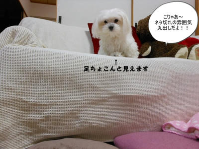 DSCN1203.jpg