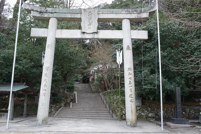 DSC01746.jpg