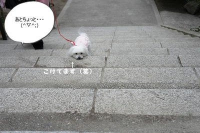 DSC01774.jpg