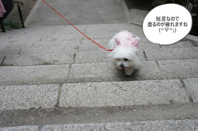 DSC01778.jpg