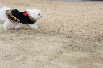 DSC01868.jpg