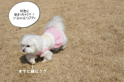 DSC01975.jpg