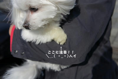 DSC01979.jpg