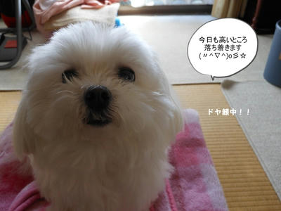 DSCN9649.jpg