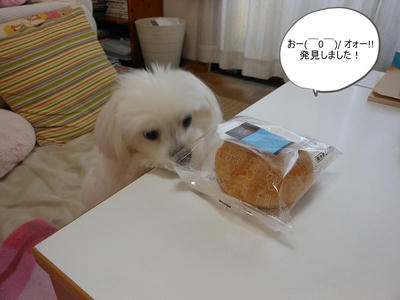 DSCN9838.jpg
