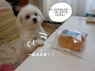 DSCN9839.jpg