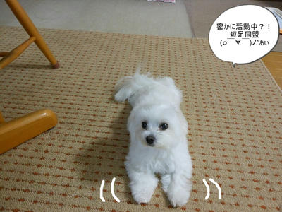 DSCN9825.jpg