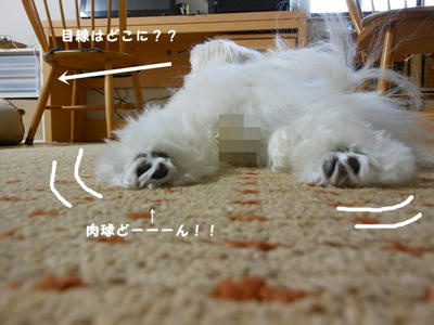 DSCN9829.jpg