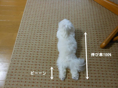 DSCN9830.jpg