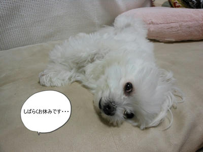 DSCN9852.jpg