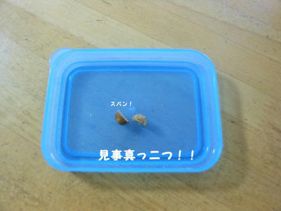 DSCN9701.jpg