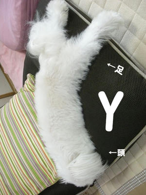 DSCN9822.jpg