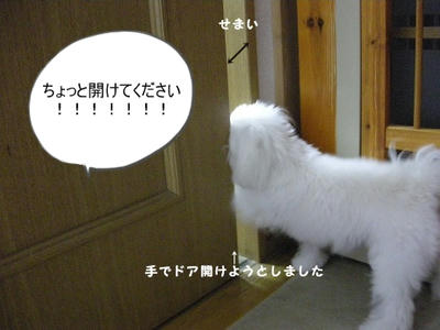 DSCN9772.jpg