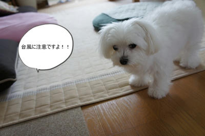 DSC02570.jpg