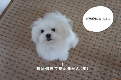 DSC02644.jpg