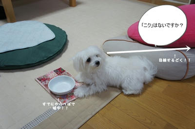 DSC02651.jpg