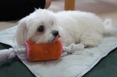 DSC02784.jpg