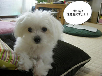 DSCN9831.jpg