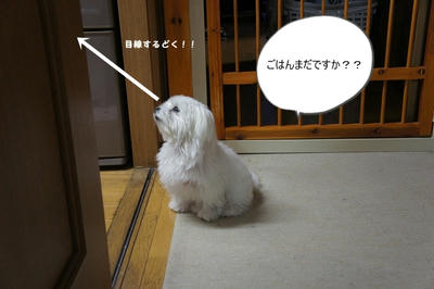 DSC02760.jpg