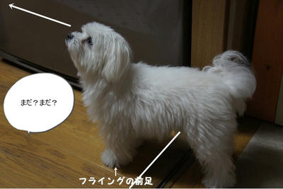 DSC02774.jpg