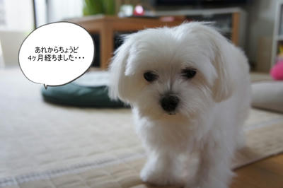 DSC02572.jpg