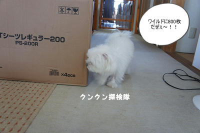 DSC02913.jpg