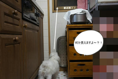 DSC02836.jpg