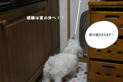 DSC02848.jpg
