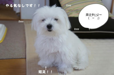 DSC02879.jpg