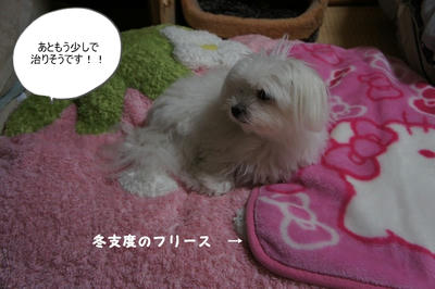 DSC02863.jpg