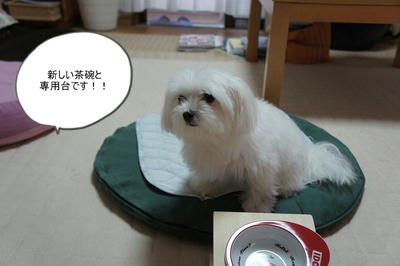 DSC02930.jpg