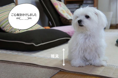 DSC02899.jpg