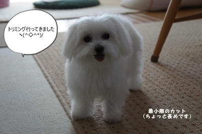 DSC03046.jpg
