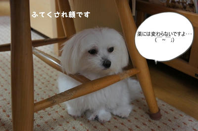 DSC03053.jpg