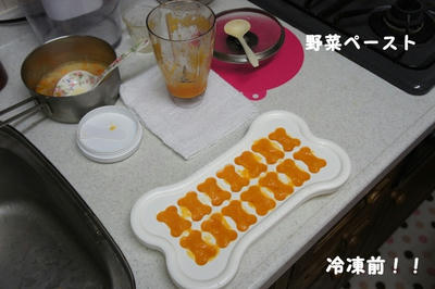 DSC03055.jpg